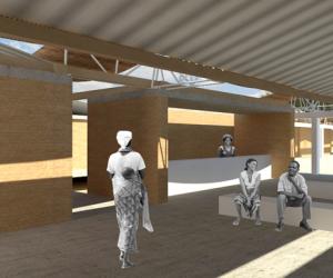 Medecine traditionnelle 	